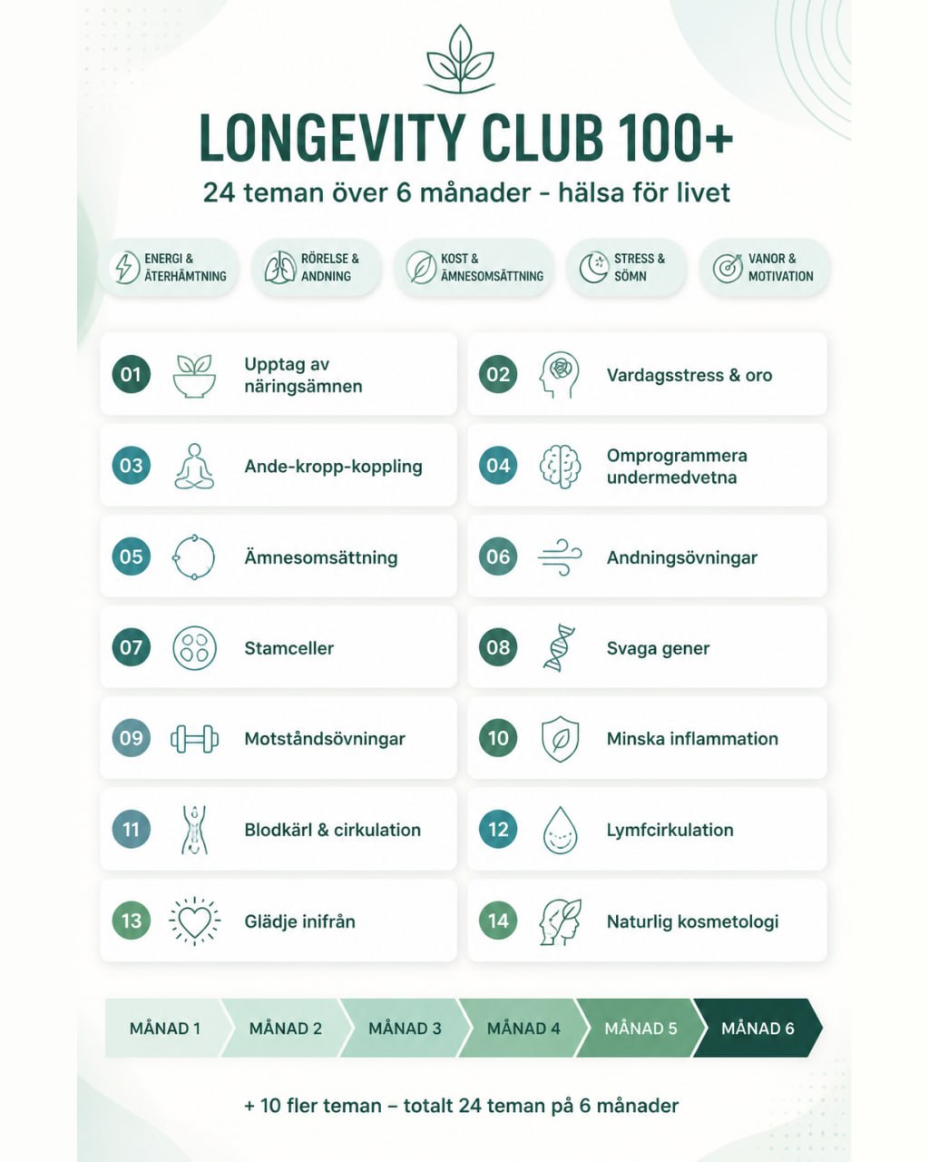 Översikt över Longevity Club 100+ – 24 teman över 6 månader inom energi, rörelse, kost, stress och vanor